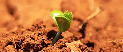 Corporate Social Responsibility